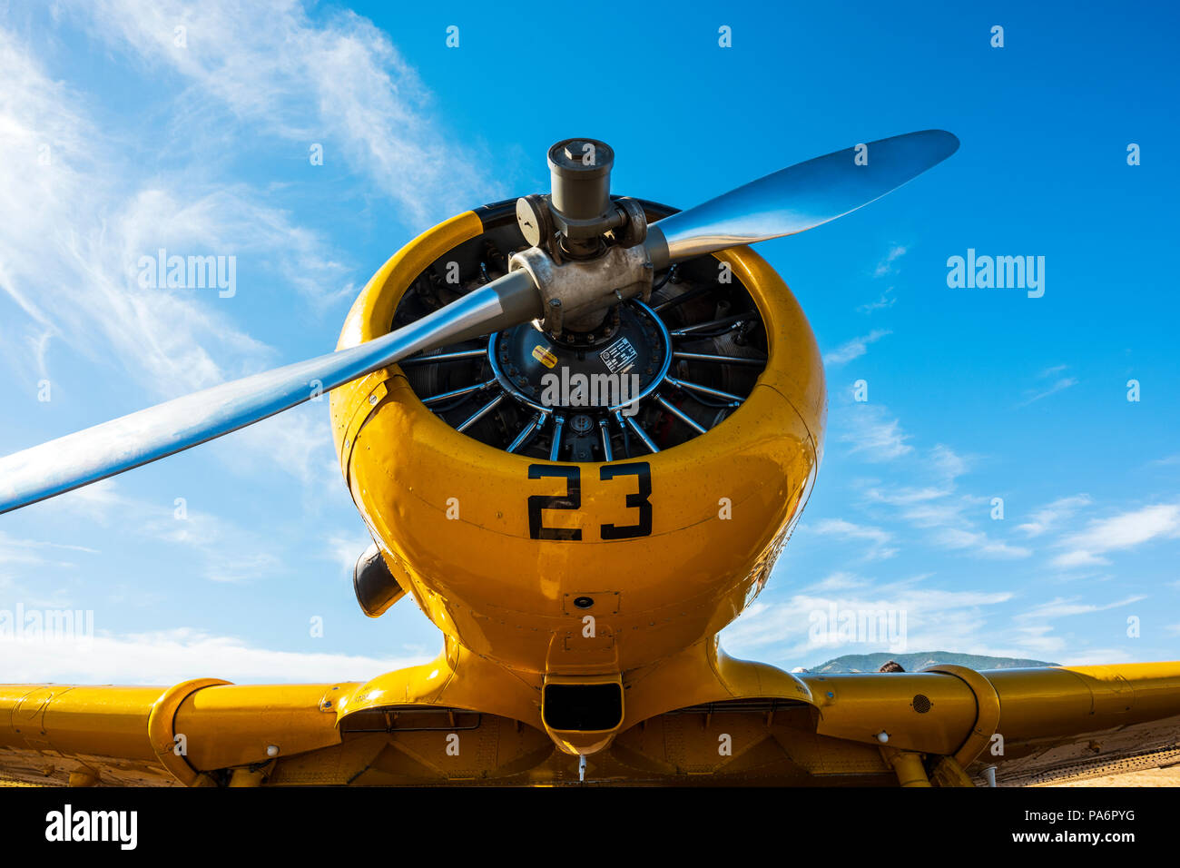 North American Aviation T-6 Texan; SNJ-5; Harriett Alexander Feld; Air Show; Salida, Colorado, USA Stockfoto