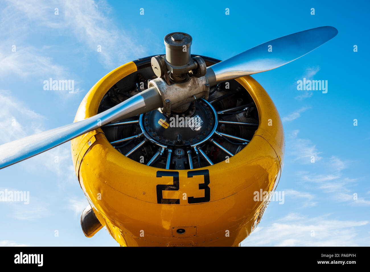 North American Aviation T-6 Texan; SNJ-5; Harriett Alexander Feld; Air Show; Salida, Colorado, USA Stockfoto