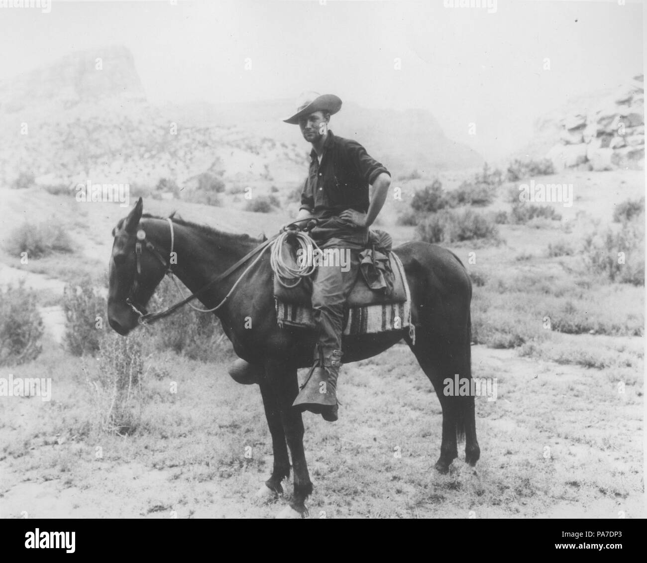 584 Donald Beauregard, 1909 Stockfoto