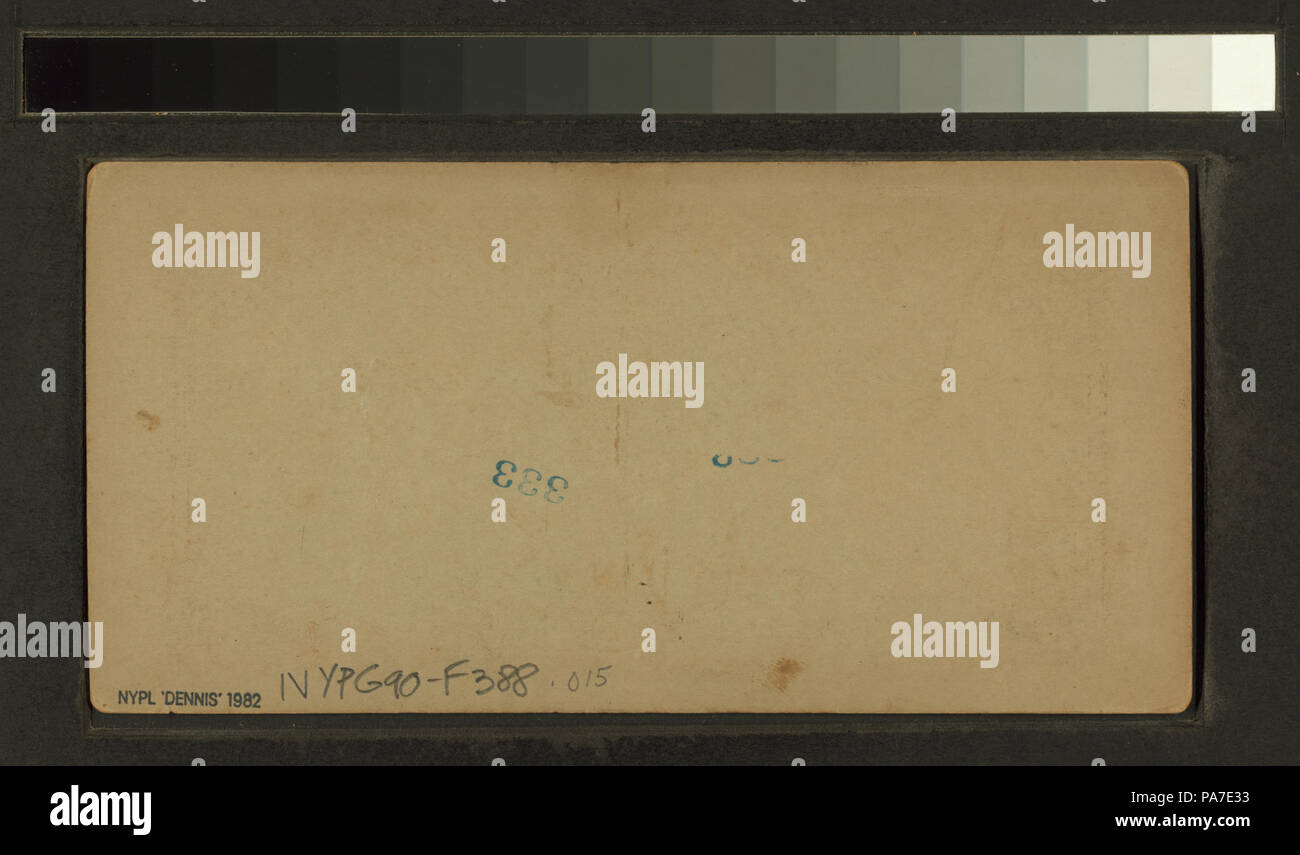 303 Chester bad boy (Nypl b 11707597-G90F388 015B) Stockfoto