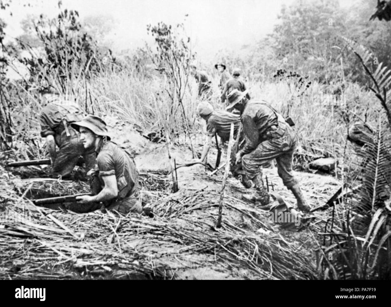 54 Kommandos von der Australischen 2-3 rd unabhängiges Unternehmen aus Waffe Gruben bei einem Angriff auf Fachwerk Knoll, nördlich von Orodubi (zwischen Mubo und Salamaua), Neu Guinea Stockfoto