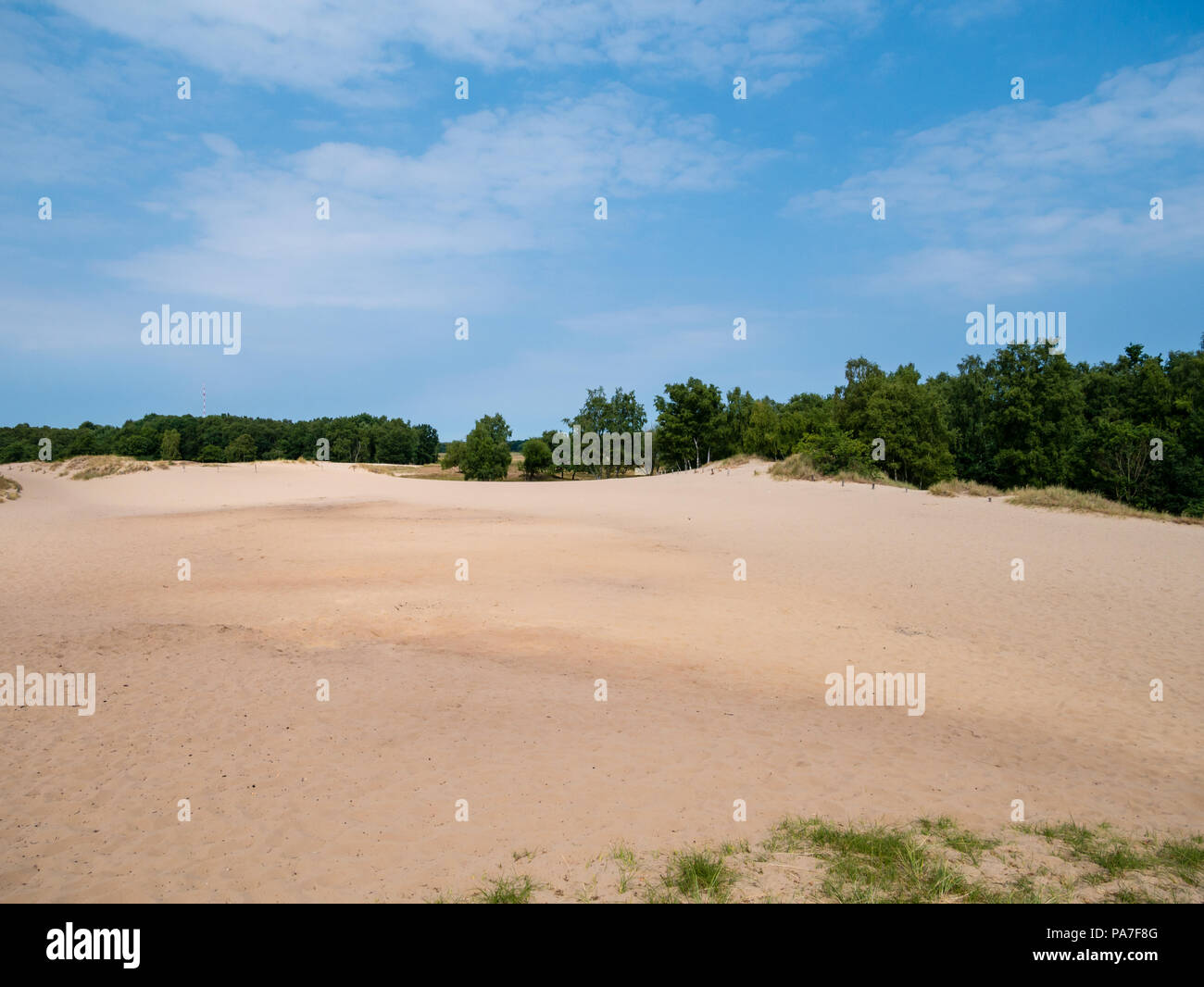 Blick auf den Boberger Dünen im Naturschutzgebiet Boberg im Osten von Hamburg, in Deutschland am Tag. Selektiver Fokus auf den Vordergrund. Stockfoto