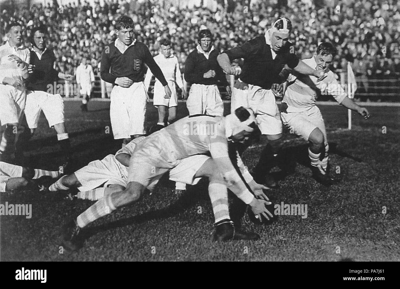 159 Lions Pumas 1936 Stockfoto