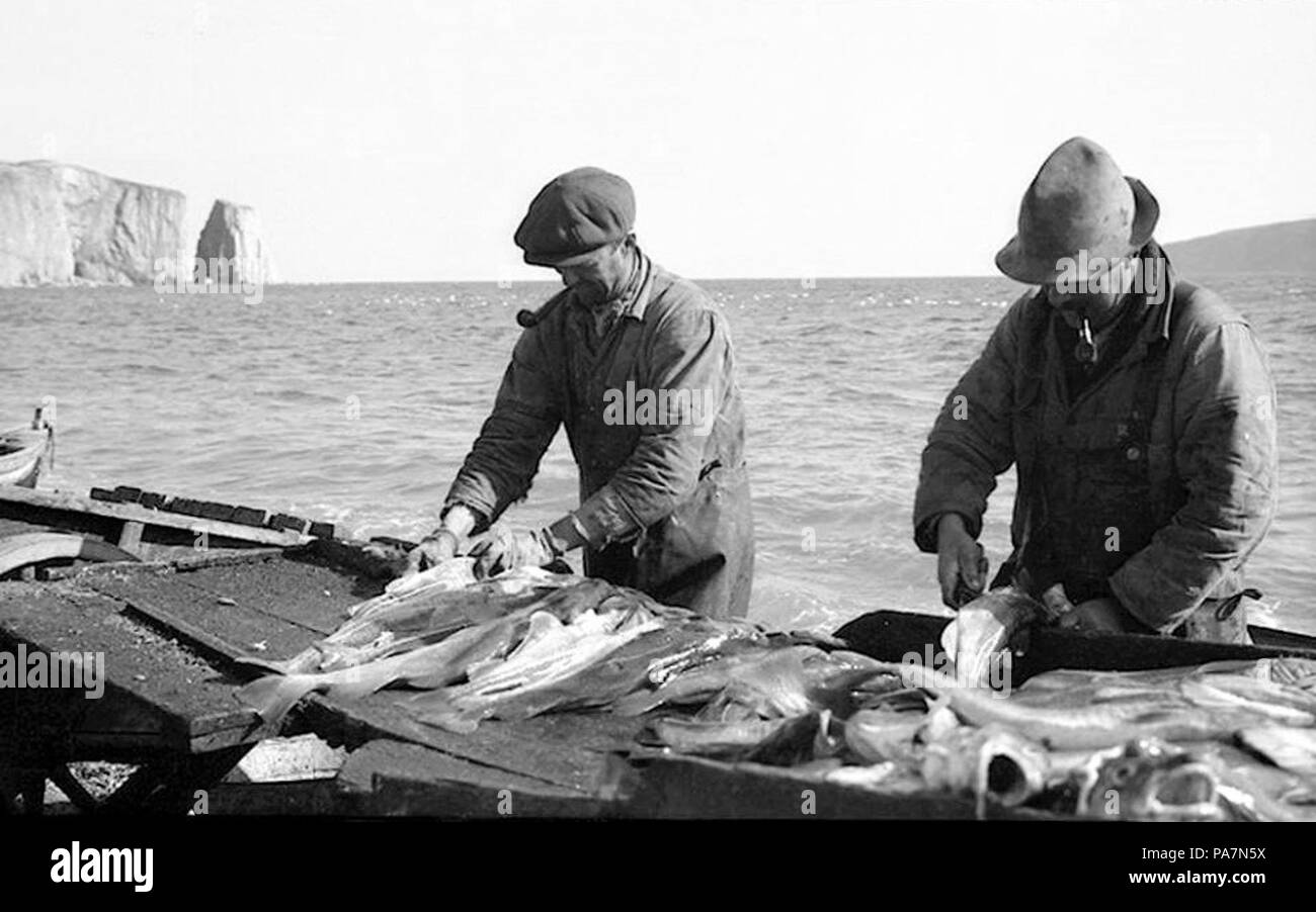 196 Pecheurs preparant La Morue ein Perce - 1940 Stockfoto