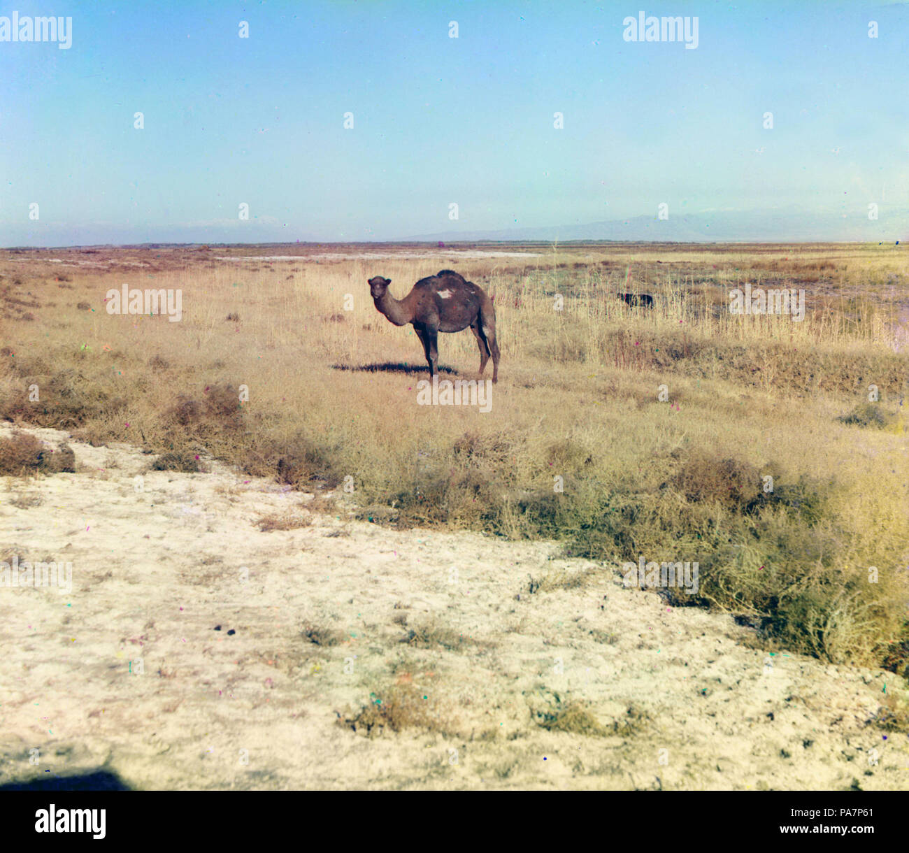 721 21858 Gorskii U Stockfoto