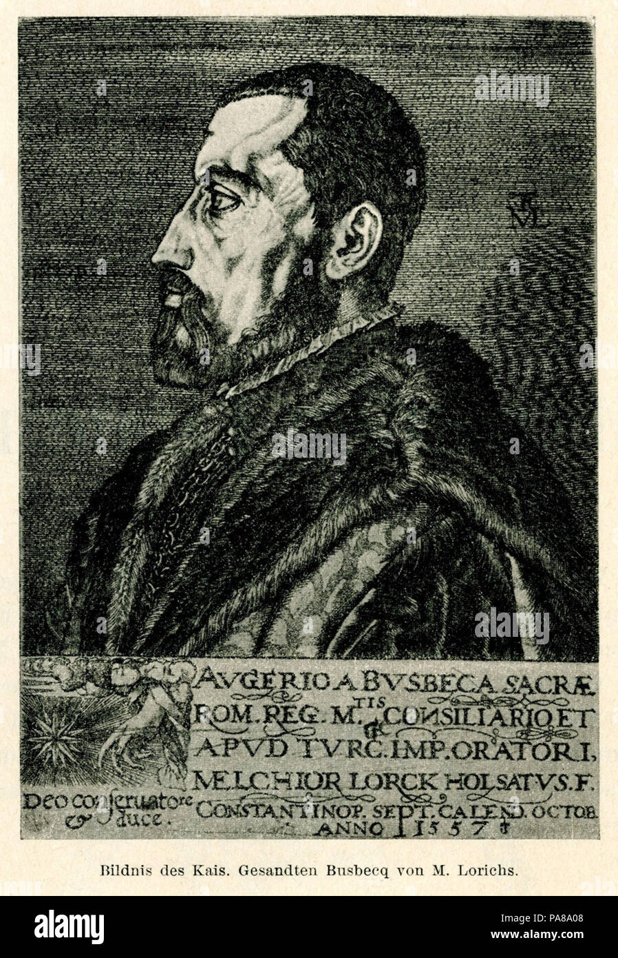 38 Bildnis des Kais Gesandten Busbecq von M-lorck Melchior Lorichs - 1559 Stockfoto
