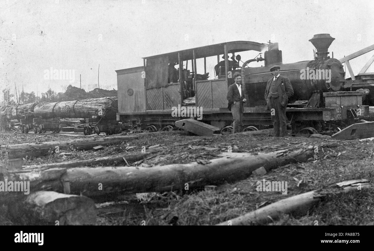 43 Bush Lokomotive bei Mamaku ATLIB 335747 Stockfoto