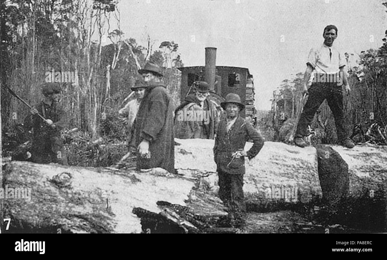 78 gefallenen Baum blockiert die Marrawah Tramway. J L Moore Foto (15363451474) Stockfoto