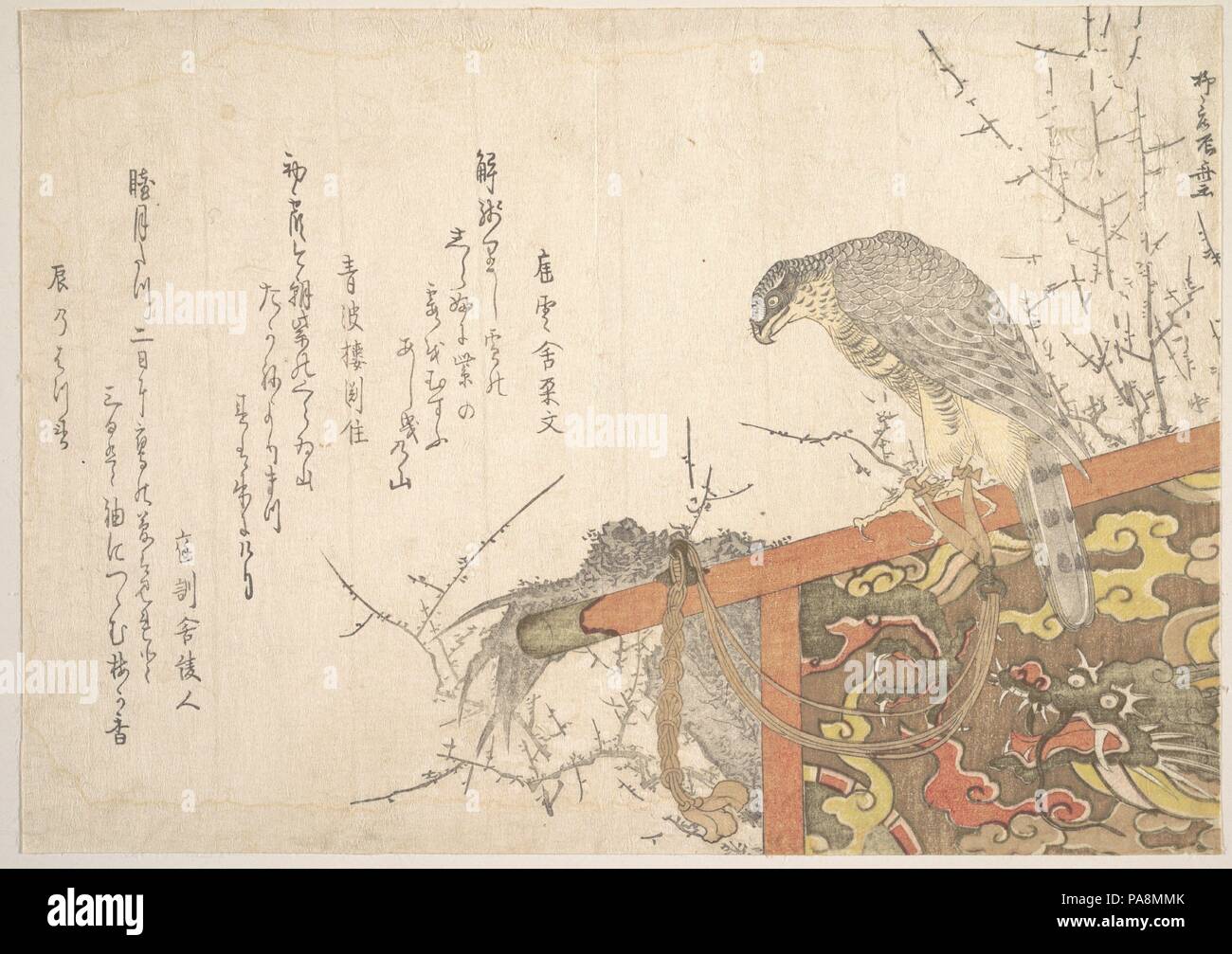 Hawk gebunden zu hocken. Artist: Ryuryukyo Shinsai (Japanisch, aktive Ca. 1799-1823). Kultur: Japan. Abmessungen: 7 5/16 x 10 7/16 in. (18,6 x 26,5 cm). Museum: Metropolitan Museum of Art, New York, USA. Stockfoto