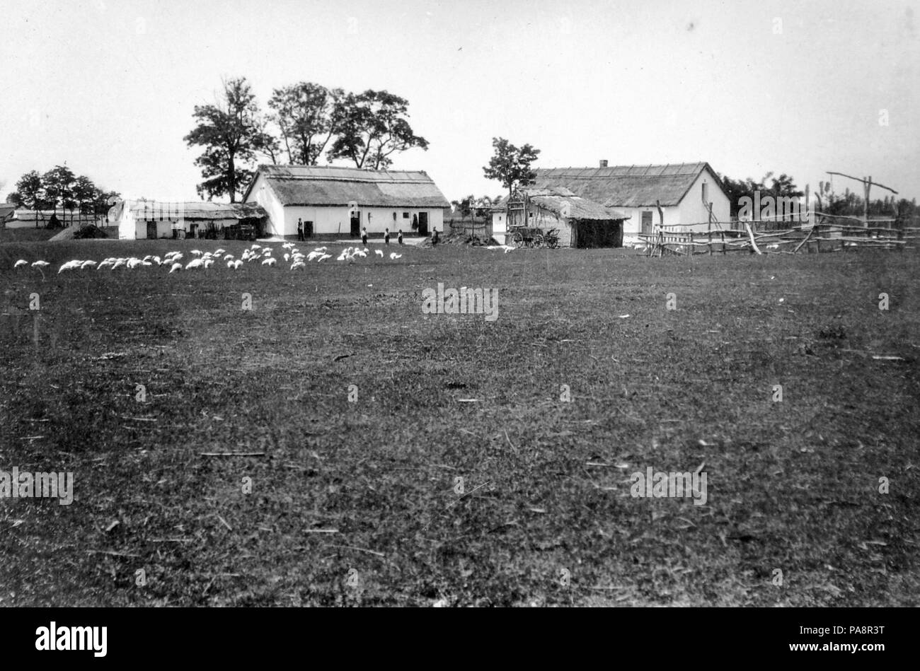 641 Bauernhof, Grasdach, shadoof, Feld, Landwirtschaft, Gans Fortepan 4472 Stockfoto