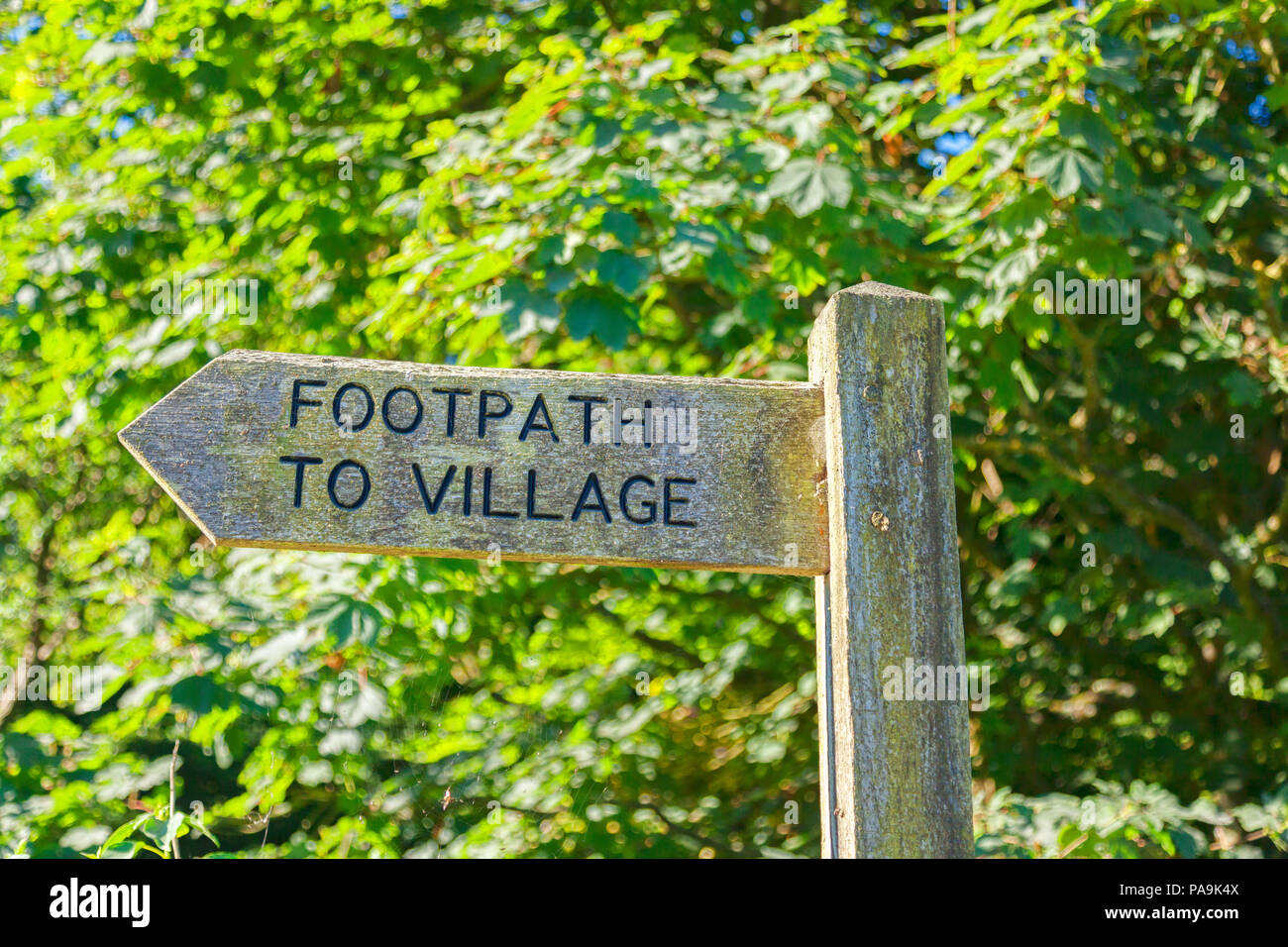 Alte hölzerne Wegweiser mit Fußweg zum Dorf geschrieben, vor einem grünen grünen Hintergrund. Stockfoto