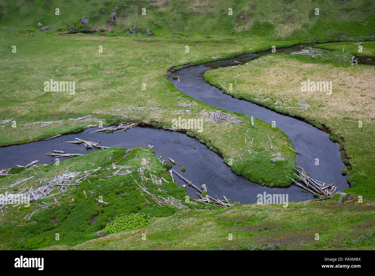 Onekotan Insel, Kuril Inseln Stockfoto