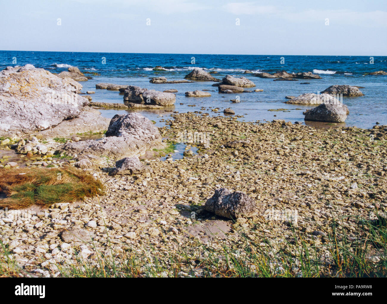 GOTLAND FÅRÖ Strand mit Kalkstein und Ostsee Stockfoto