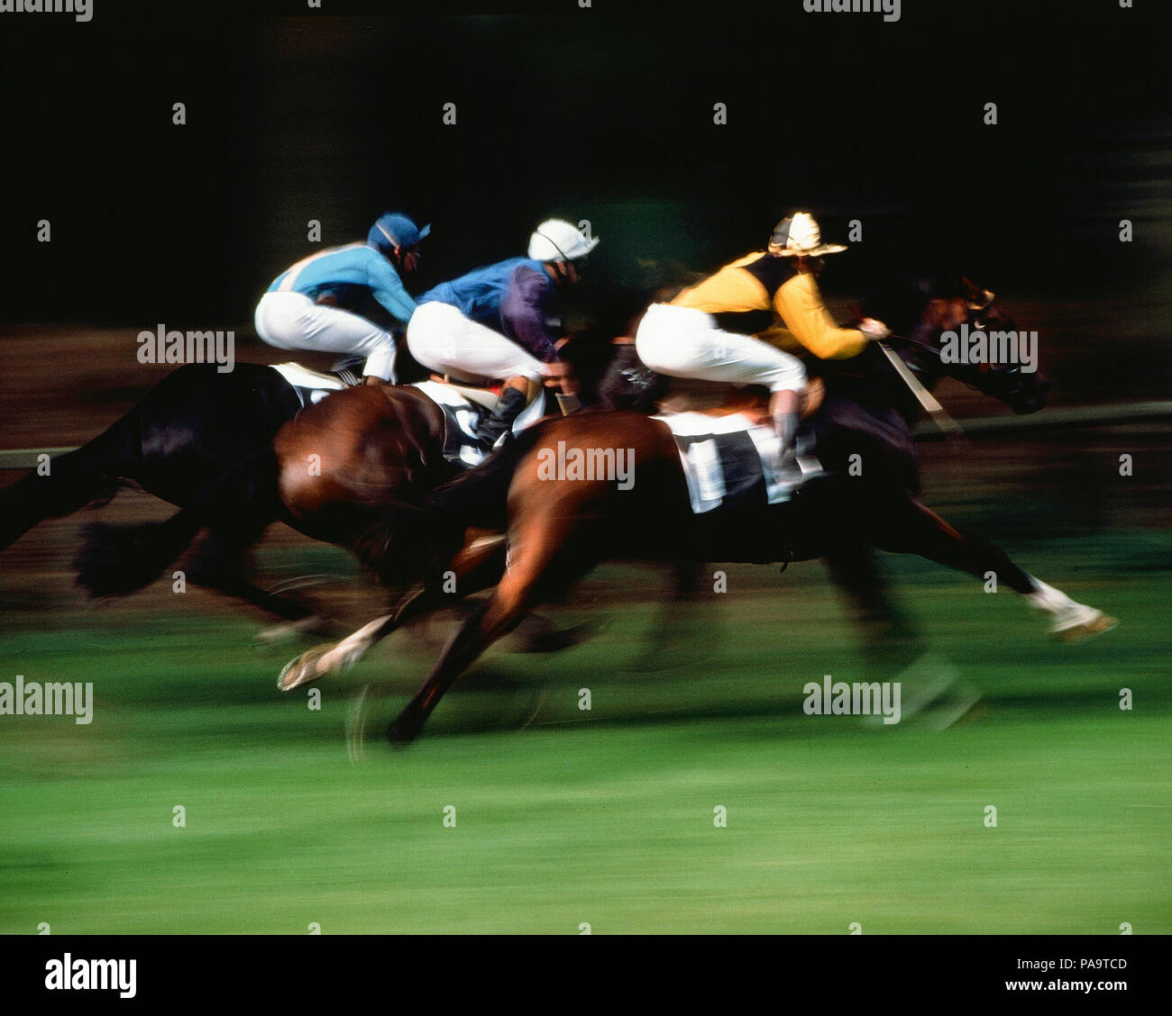 Kurs hippique - Galop - Führen von Pferden Stockfoto