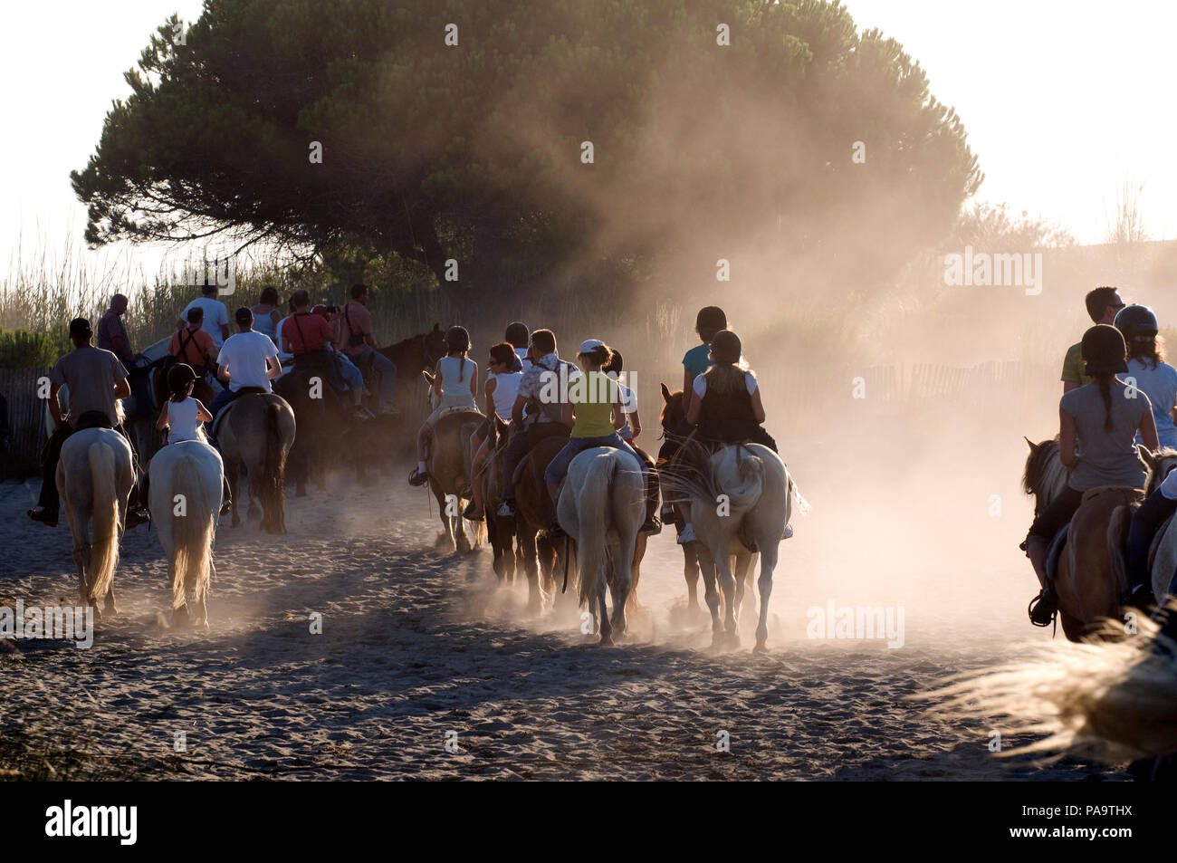 Promenade to cheval Fotos und Bildmaterial in hoher Auflösung Alamy