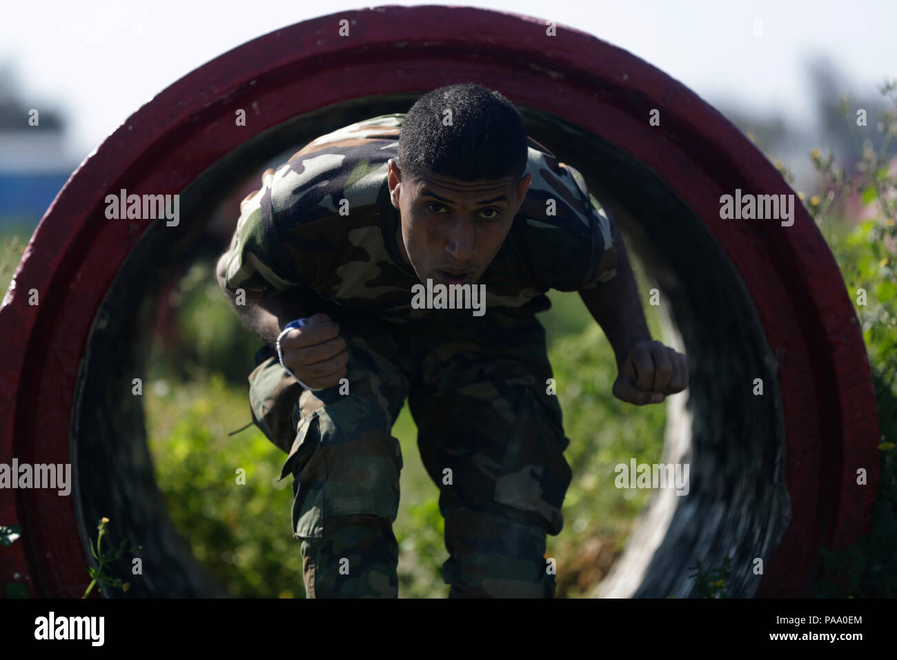 Ein irakischer Soldat in der Irakischen Ranger Kurs eingeschrieben verläuft durch Tunnel, als er einen Hindernisparcours im Camp Taji, Irak, 7. März 2016 verhandelt. Die Irakische Ranger Kurs ist eine erweiterte Infanterie Bekämpfung der Schule eingerichtet wurde, um Spezielle Betriebe Soldaten der irakischen Armee auszubilden. Ausbildung an der Aufbau der Kapazitäten ist ein integraler Bestandteil der Combined Joint Task Force - Betrieb die Lösung der multinationalen Bemühung, irakische Sicherheitskräfte der Islamischen Staat im Irak und der Levante zu besiegen. (U.S. Armee Foto von Sgt. Paul Verkauf/Freigegeben) Stockfoto