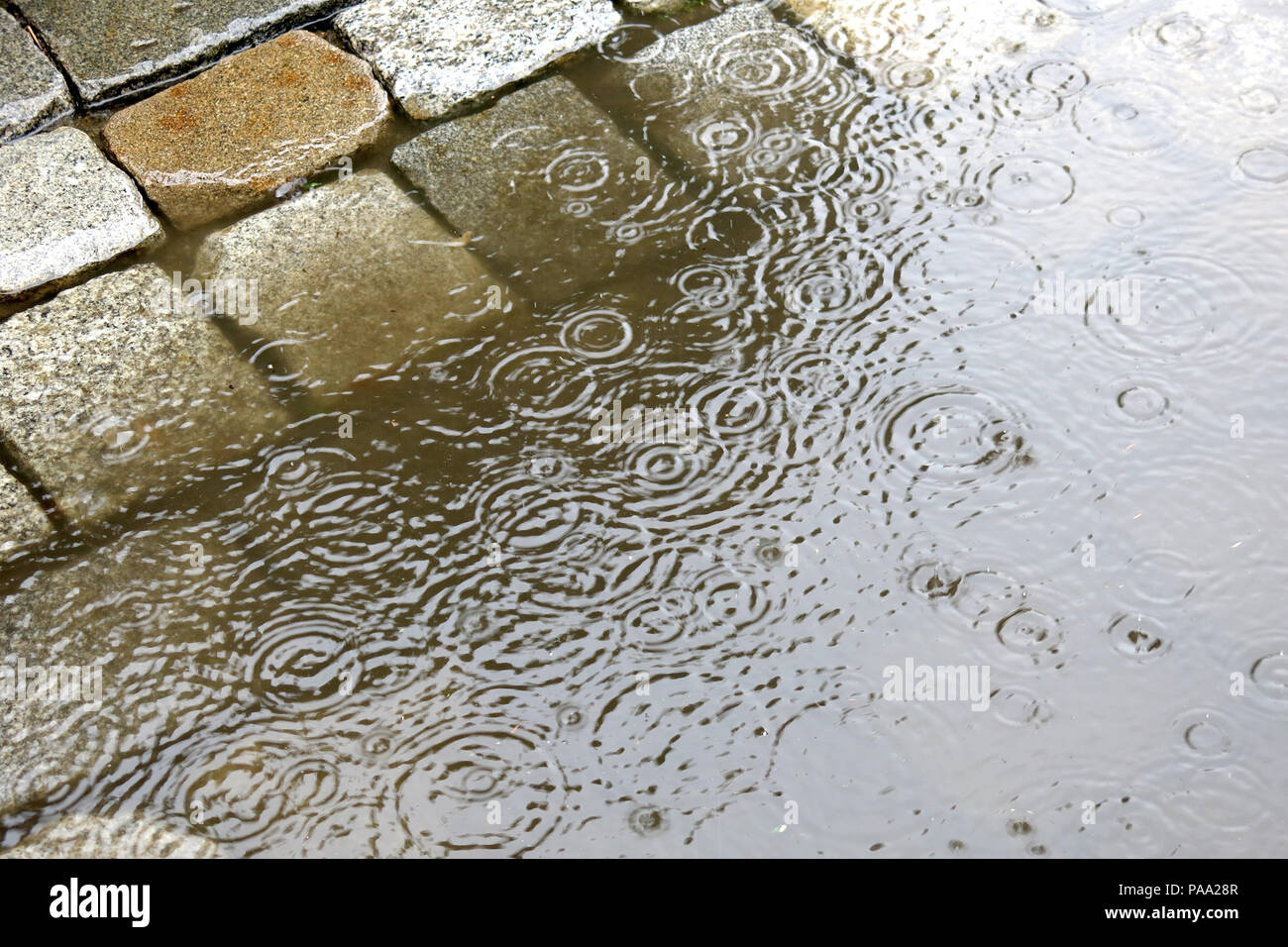 Regen in der Stadt - Pfützen auf der Straße mit Kopfsteinpflaster Pflaster  - Wasser Tropfen regen Stockfotografie - Alamy