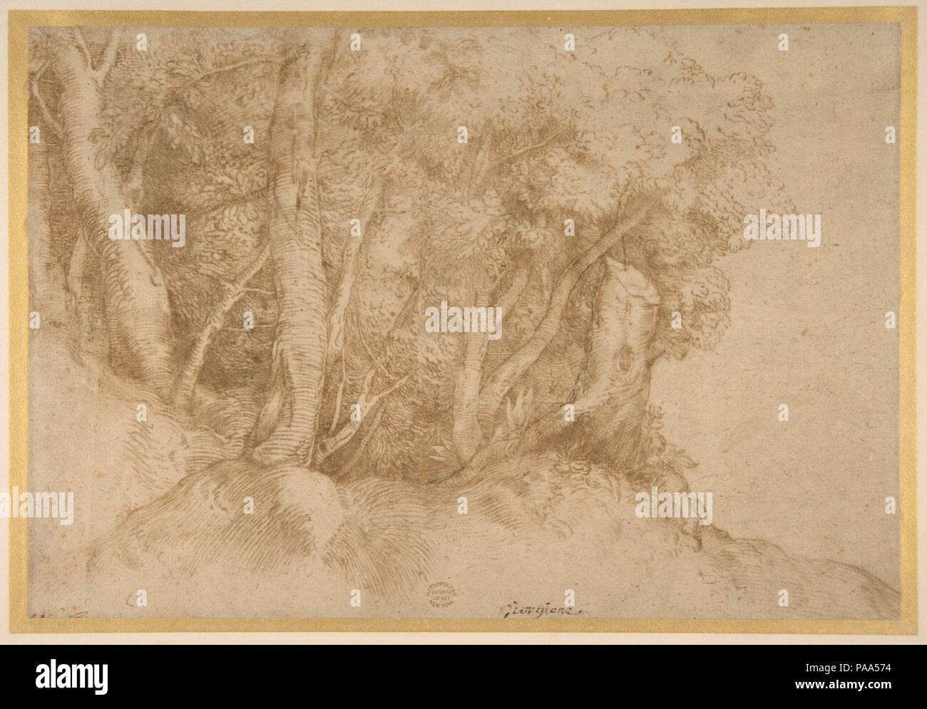 Gruppe von Bäumen. Artist: Tizian (Tiziano Vecellio) (Italienisch, Pieve di Cadore Ca. 1485/90?-1576 Venedig). Abmessungen: 8 9/16 x 12 9/16 in. (21,8 x 31,9 cm). Datum: 1485/90-1576. Museum: Metropolitan Museum of Art, New York, USA. Stockfoto