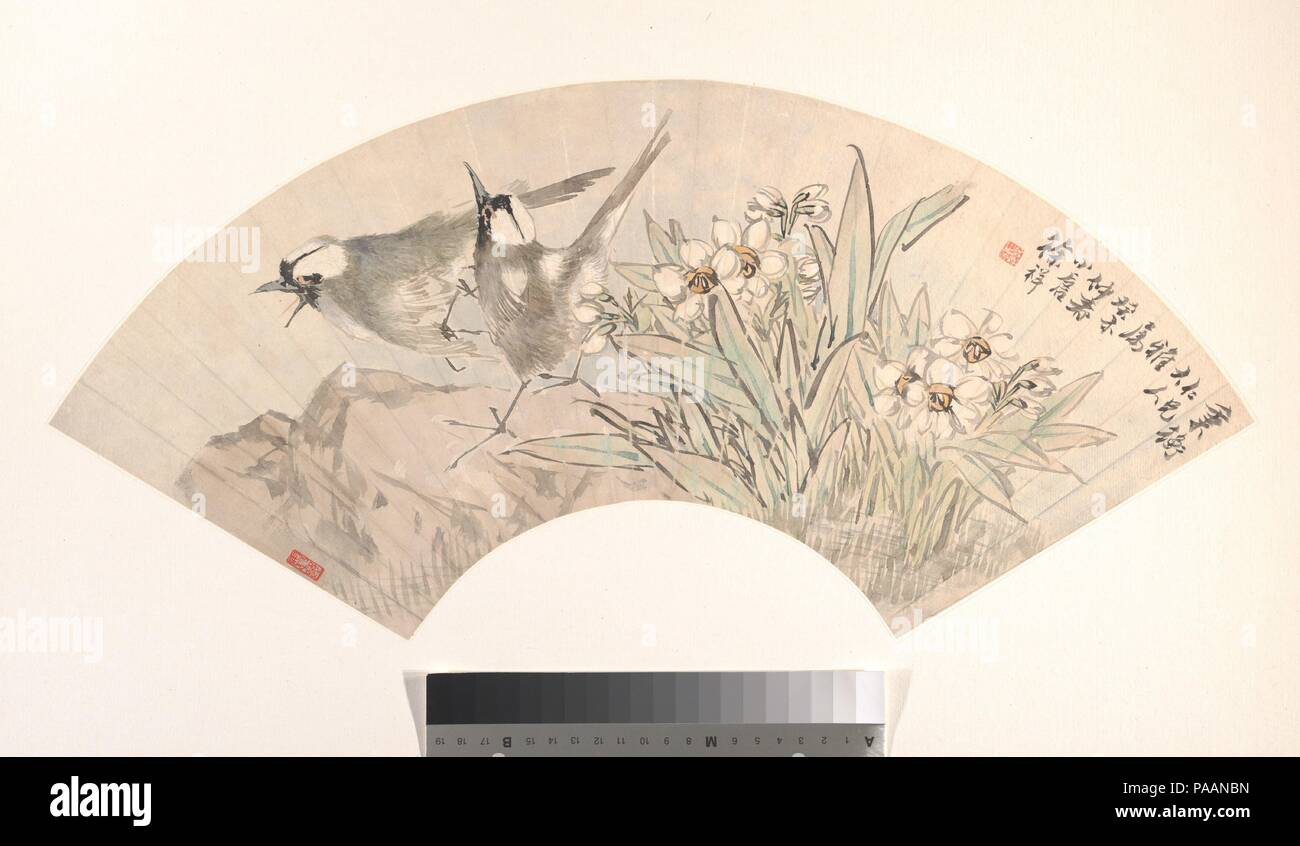 Vögel und Narziss. Artist: Xu Xiang (Chinesisch, 1850-1899). Kultur: China. Abmessungen: 7 1/4 in. x 21 in. (18,4 x 53,3 cm). Datum: datiert 1883. Xu Xiang wurde zum ersten Mal ein Schüler von Qian Huian, aber später studierte mit Ren Yi und nahm eine freiere Bürste Technik. In diesem Ventilator, die einfache Naturalismus der Paar Vögel, deren weiße Markierungen wie Highlights verwendet werden, steht im Gegensatz zu der eher noch Blume Cluster frontal in der Technik dargestellt. Nebeneinander von verschiedenen Techniken und eine seltsame Mangel an konsistenten Skala verbinden sich zu einem Bild, das nicht so recht zusammen halten zu produzieren, aber Es nonethele Stockfoto
