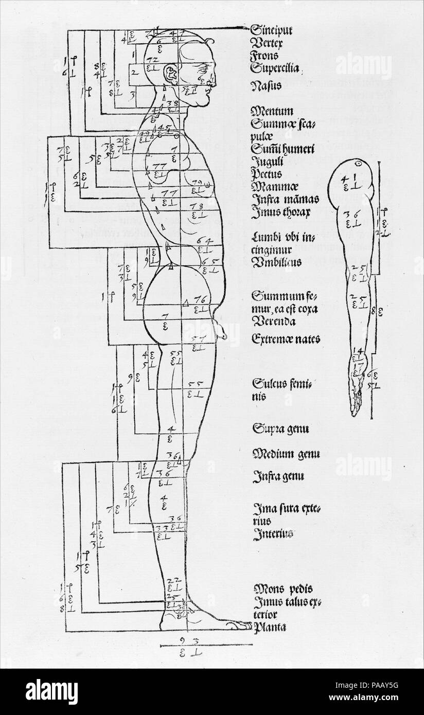 Underweysung der Messung (Nürnberg, 1538). Künstler: Albrecht Dürer (Deutsch, Nürnberg 1471-1528 Nürnberg). Autor: Albrecht Dürer (Deutsch, Nürnberg 1471-1528 Nürnberg). Abmessungen: 12 9/16 x 8 7/16 x 1 13/16-in. (31,9 × 21,5 × 4,6 cm). Datum: 1538, 1527, 1532. Museum: Metropolitan Museum of Art, New York, USA. Stockfoto