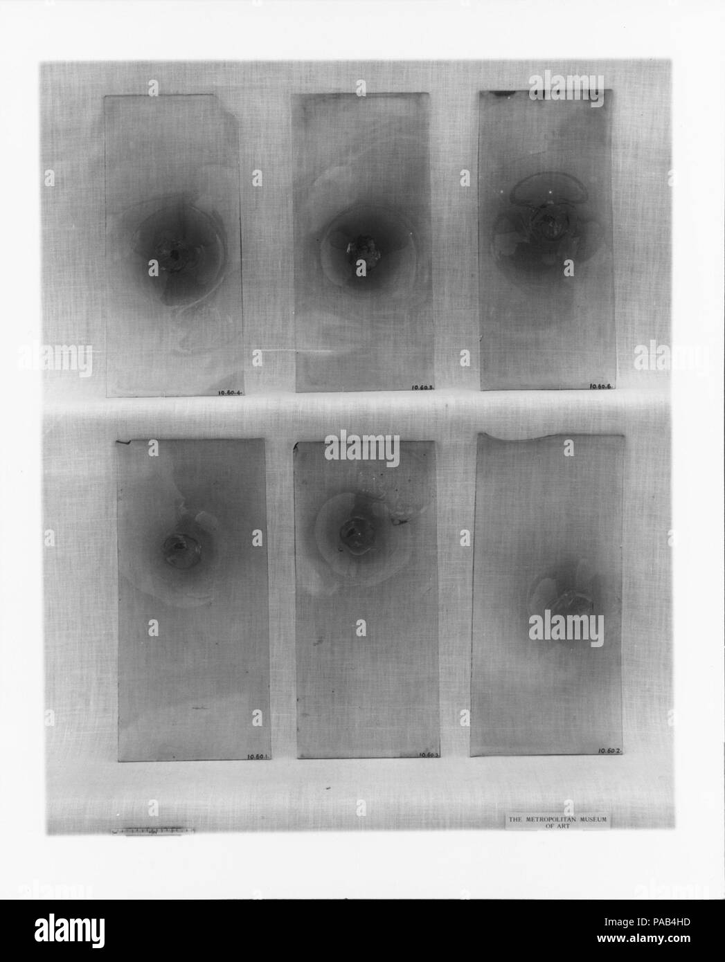 Fensterglas. Kultur: American. Abmessungen: 8 7/8 x 3 7/8 in. (22,5 x 9,8 cm). Datum: 18. Museum: Metropolitan Museum of Art, New York, USA. Stockfoto