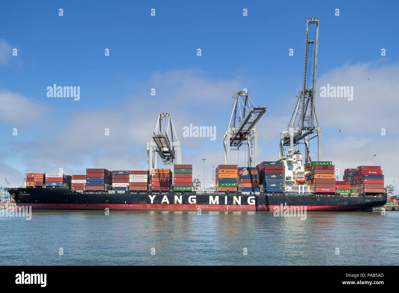 Containerschiff YM EVOLUTION an ECT Delta Terminal Rotterdam. Yang Ming Marine Transport ist ein Ocean Shipping Company in Keelung, Taiwan. Stockfoto