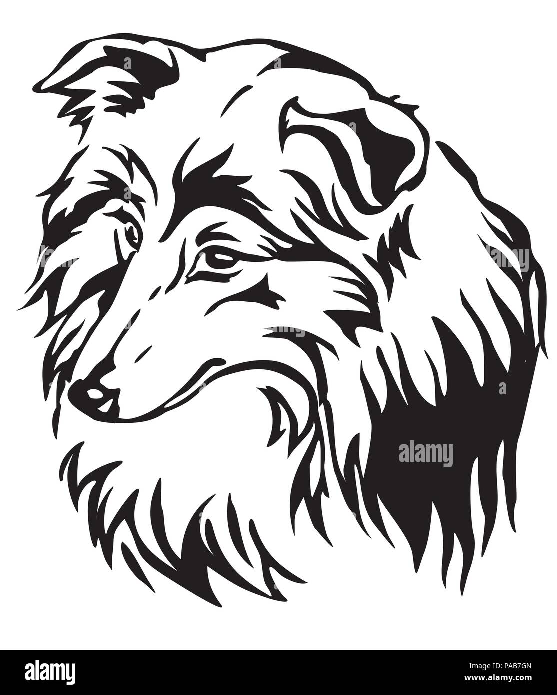 Dekorative Portrait von Hund Shetland Sheepdog (Sheltie), Vektor isoliert Abbildung in schwarz auf weißem Hintergrund Stock Vektor