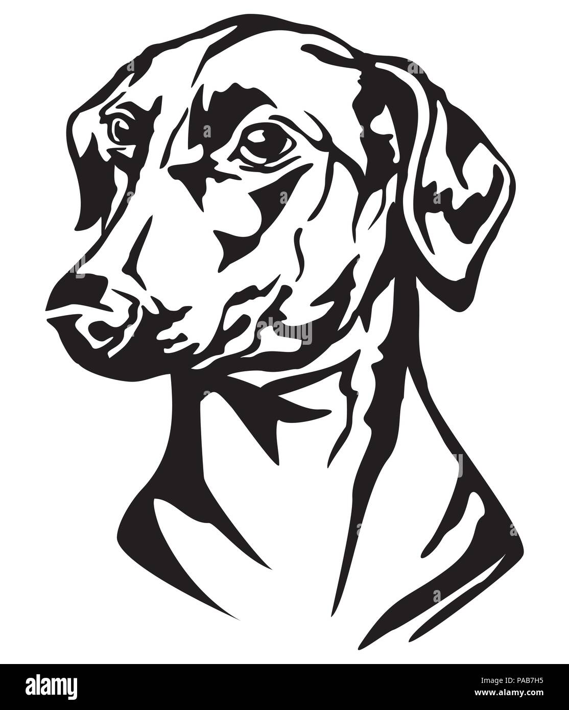 Dekorative Portrait von dog Deutsche Pinscher, Vektor isoliert Abbildung in schwarz auf weißem Hintergrund Stock Vektor