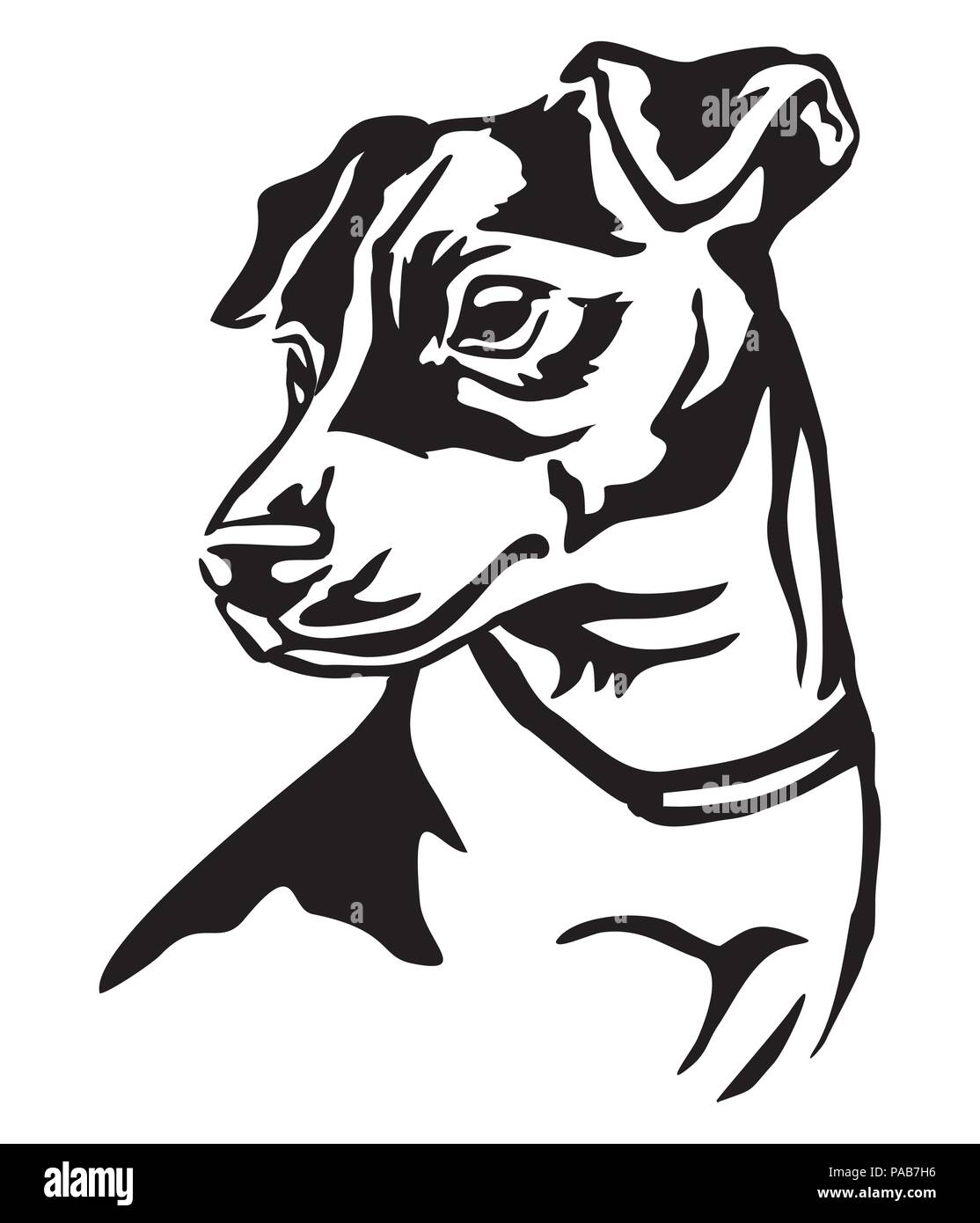 jack russell terrier bleistiftzeichnung schwarz weiß jack russell terrier bleistiftzeichnung schwarz weiß