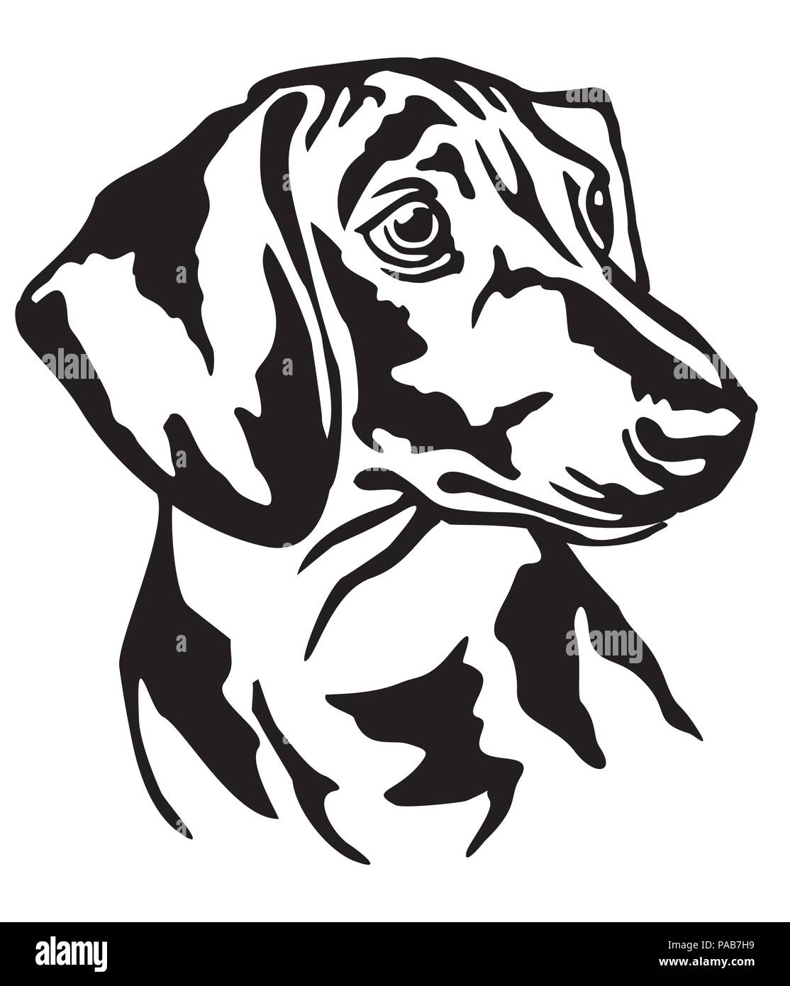 Dekorative Portrait von Hund Dackel, Vektor isoliert Abbildung in schwarz auf weißem Hintergrund Stock Vektor