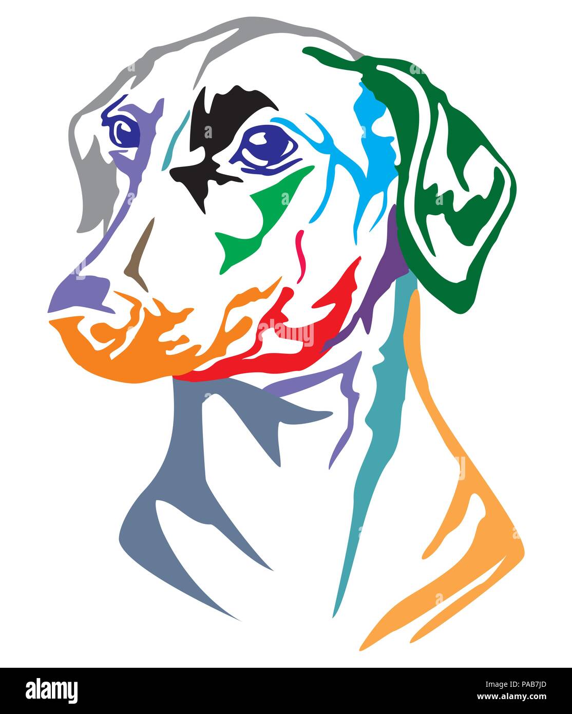 Bunt dekorativ Portrait von dog Deutsche Pinscher, Vector Illustration in verschiedenen Farben auf weißem Hintergrund Stock Vektor
