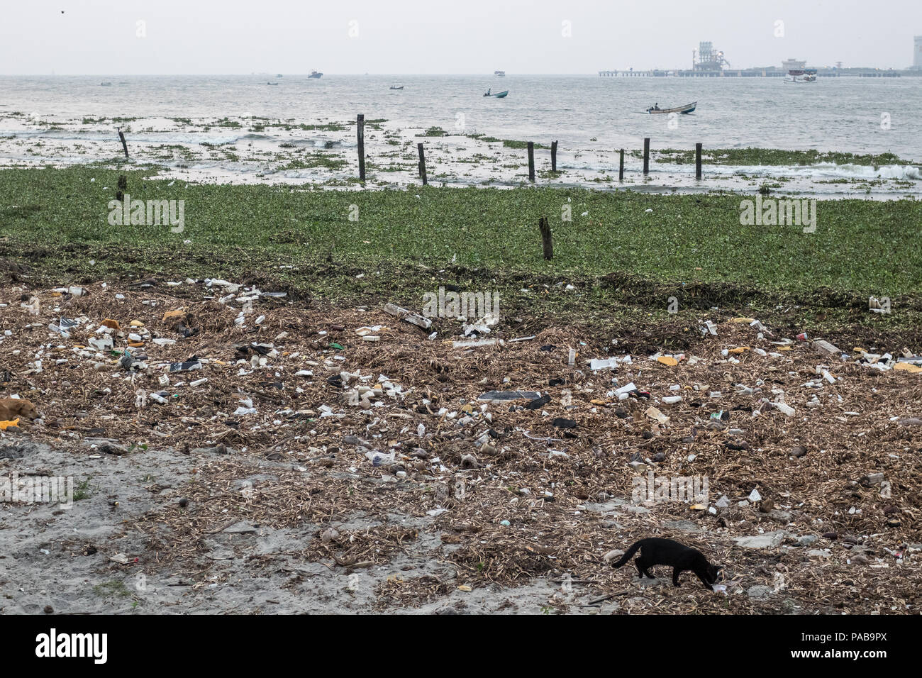 Umwelt Problem, große Mengen von Plastikmüll am Strand in Kochi, die im südlichen Indien Stockfoto