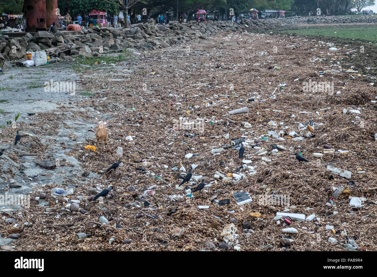 Umwelt Problem, große Mengen von Plastikmüll am Strand in Kochi, die im südlichen Indien Stockfoto