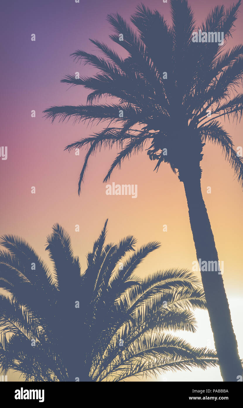 Retro Hawaii Palmen gegen einen lebendigen bunten Sonnenuntergang Himmel Stockfoto