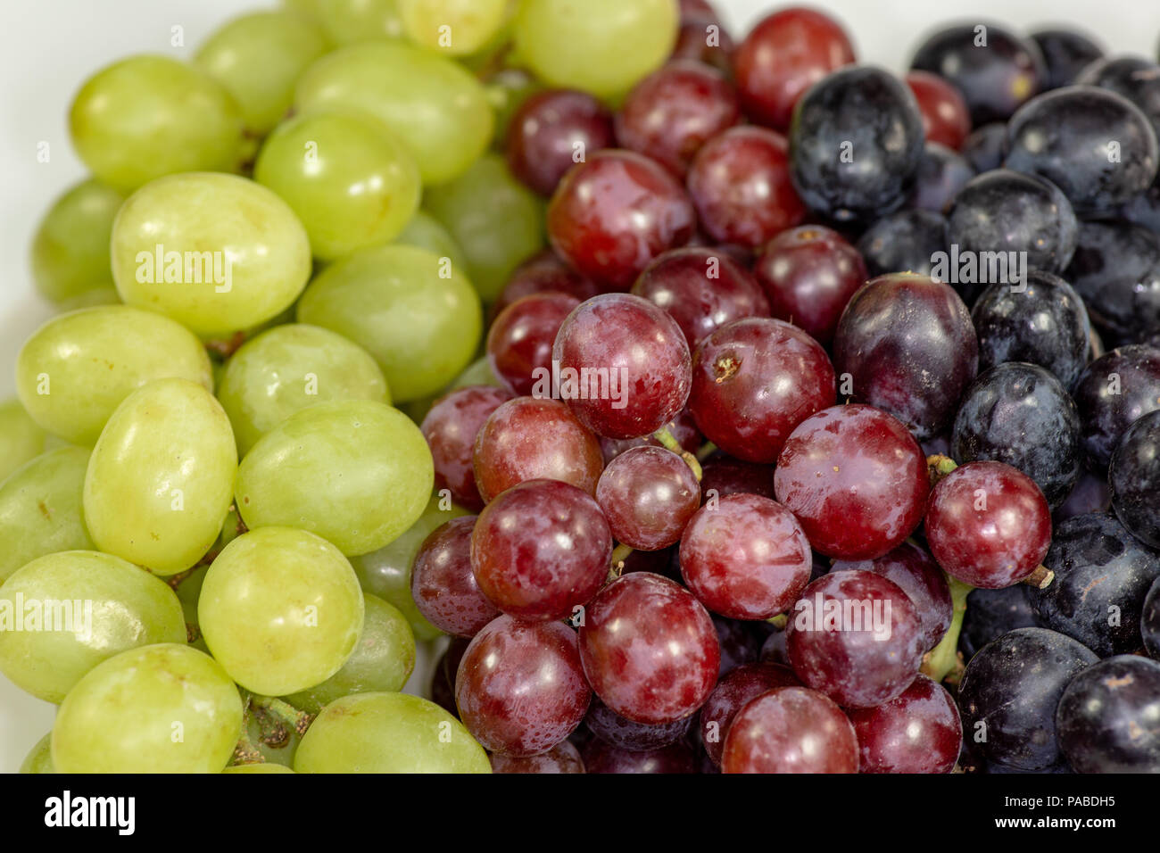 Schwarz, Rot, Grün kernlose Trauben in einer tiefen weiße Schüssel auf einem weißen Geschichte warten auf Frühstück gegessen zu werden. Stockfoto