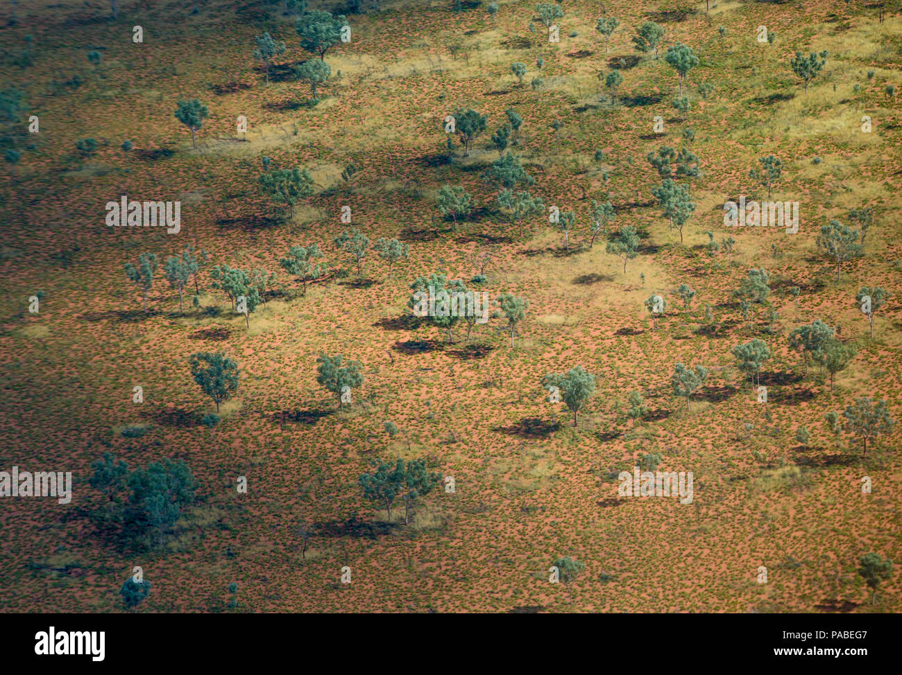 Die Bungle Bungles, die Kimberley Region, Western Australia Stockfoto