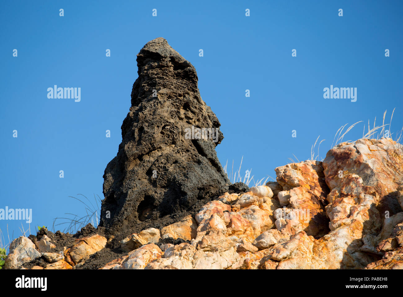 Termite Damm, Western Australia Stockfoto