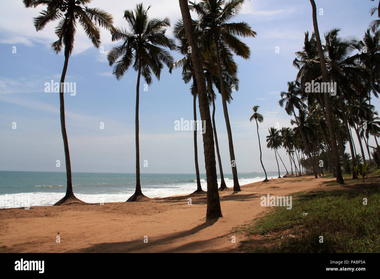 Von Palmen gesäumten Strand in der Nähe von Cape Coast, Ghana Stockfoto