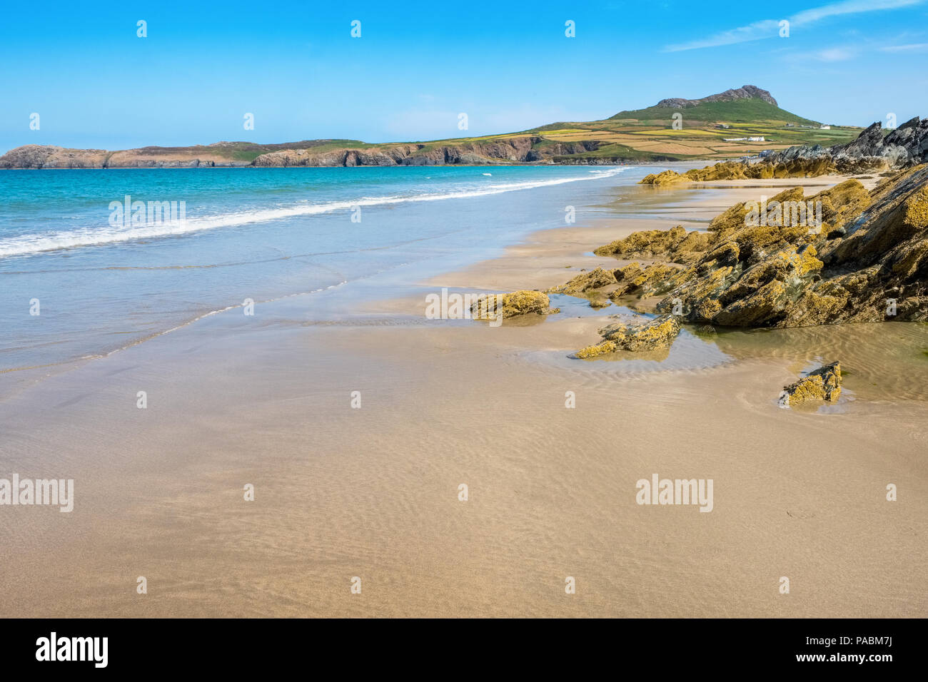 Whitesands Beach in der Nähe von St Davids im Pembrokeshire Coast National Park, Wales, Großbritannien Stockfoto