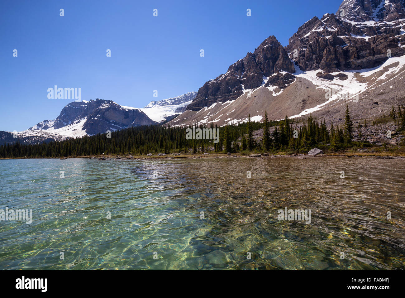 Gletscher See während einer lebendigen Sommertag. In Bow Lake, Banff National Park, Alberta, Kanada. Stockfoto