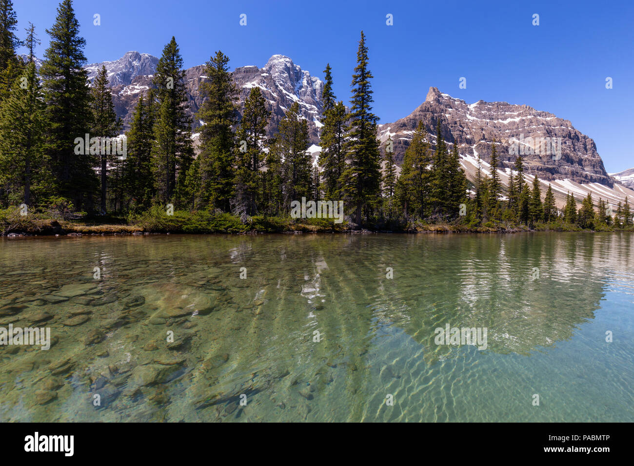 Gletscher See während einer lebendigen Sommertag. In Bow Lake, Banff National Park, Alberta, Kanada. Stockfoto