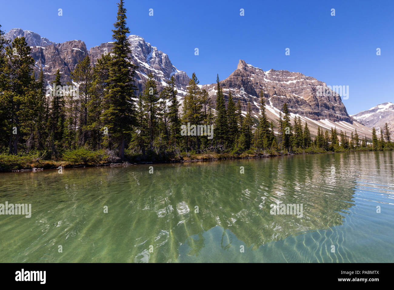 Gletscher See während einer lebendigen Sommertag. In Bow Lake, Banff National Park, Alberta, Kanada. Stockfoto