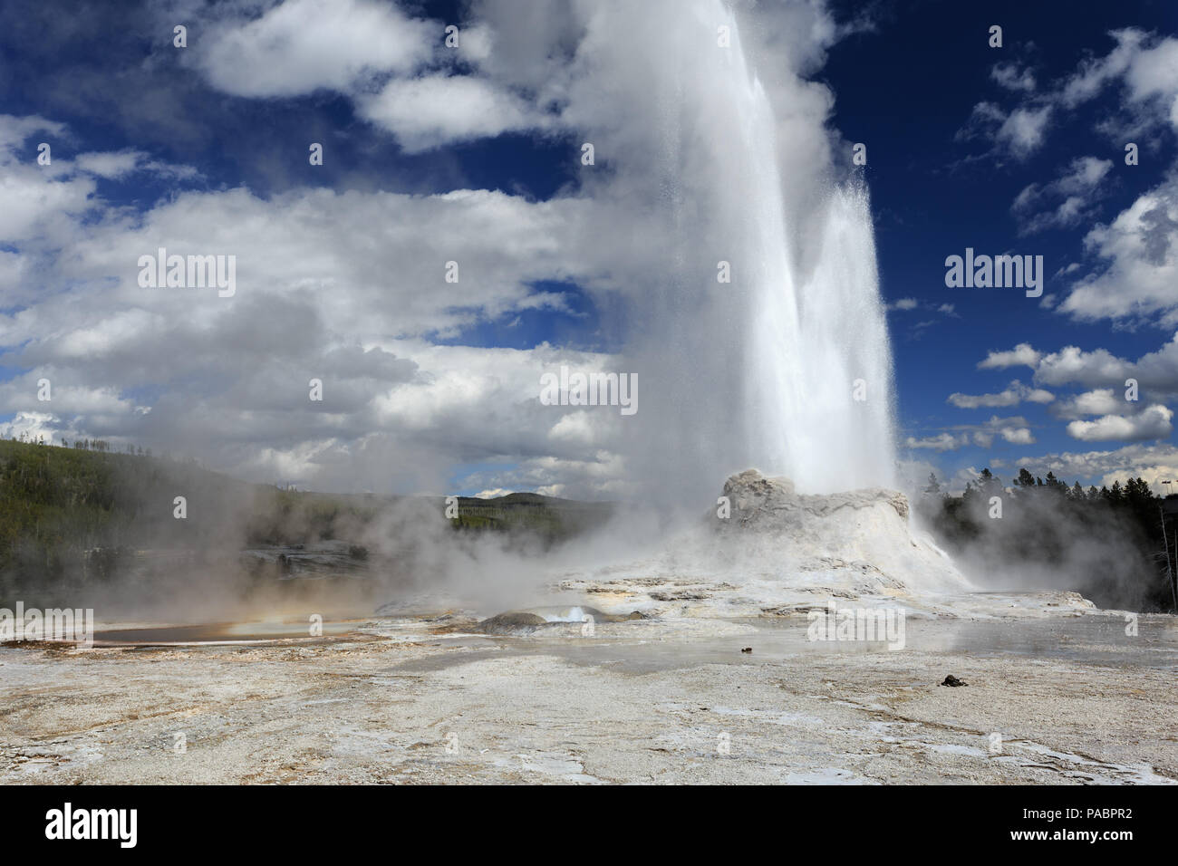 Schloss Geysir im Yellowstone NP Stockfoto