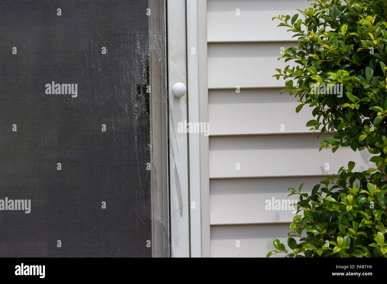 Rip und beschädigte Kabel Gitter auf einem Bildschirm Tür auf einem Holz verkleideten Haus von aussen Terrasse infolge eines Unwetters gesehen Stockfoto