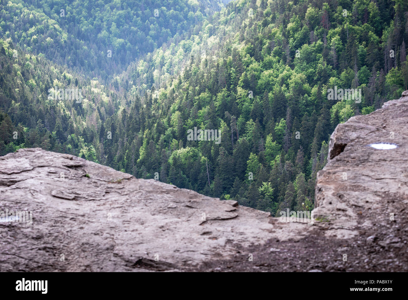 Rock von tomasovsky Vyhlad Aussichtspunkt auf der linken Seite des Hornad River Valley im Slowakischen Paradies Nationalpark, Slowakei Stockfoto