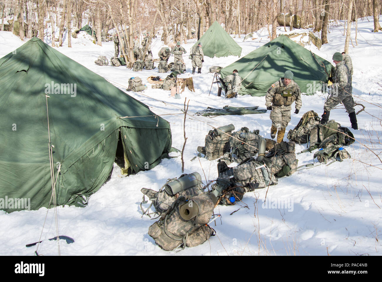 Us-Soldaten mit Alpha Company, 3.BATAILLON, 172Nd Infanterie Regiment, 86th Infantry Brigade Combat Team (Berg), ein biwak Website für die Ausbildung am Smuggler's Notch, Jeffersonville, Vt, 5. März 2016. Die Teams führen Sie die grundlegenden und erweiterten Berg Kriegsführung Fähigkeiten einschließlich der vertikalen Eis klettern, bewegungstechniken, und nächtliche Navigation als Teil ihrer Bergsteigen winter Biwak. (U.S. Air National Guard Foto: Staff Sgt. Chelsea Clark) Stockfoto