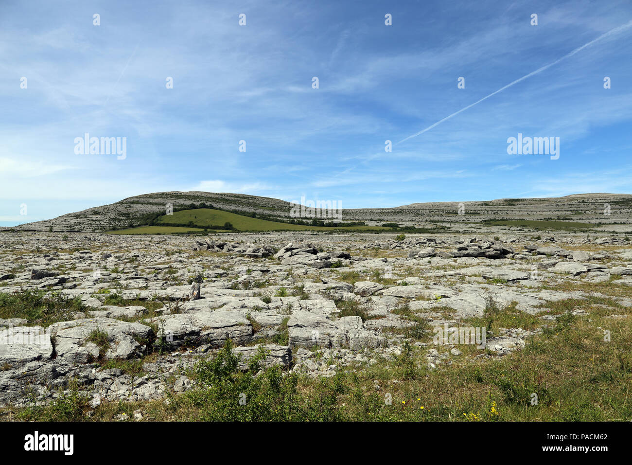 Der Burren' Great Rock'ist eine Region der ökologischen Interesse vor allem im Nordwesten der Grafschaft Clare, Irland, von Vergletscherten karst dominierte entfernt Stockfoto