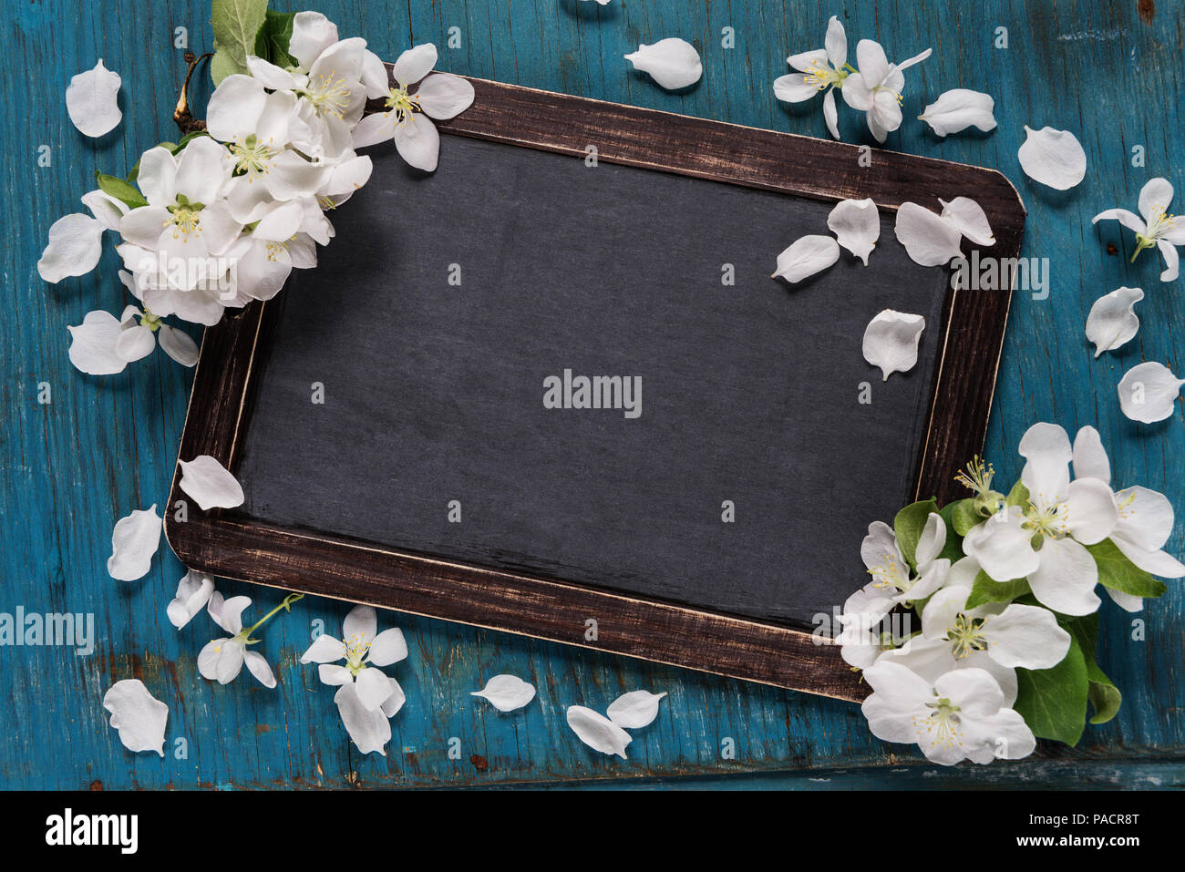 Vintage Leere Schiefertafel Oder Schule Schiefer Ist Auf Einen Alten Blauen Holzmobeln Im Landhausstil Hintergrund Mit Weissen Apple Blumen Mit Platz Fur Text Oder Nachricht Stockfotografie Alamy