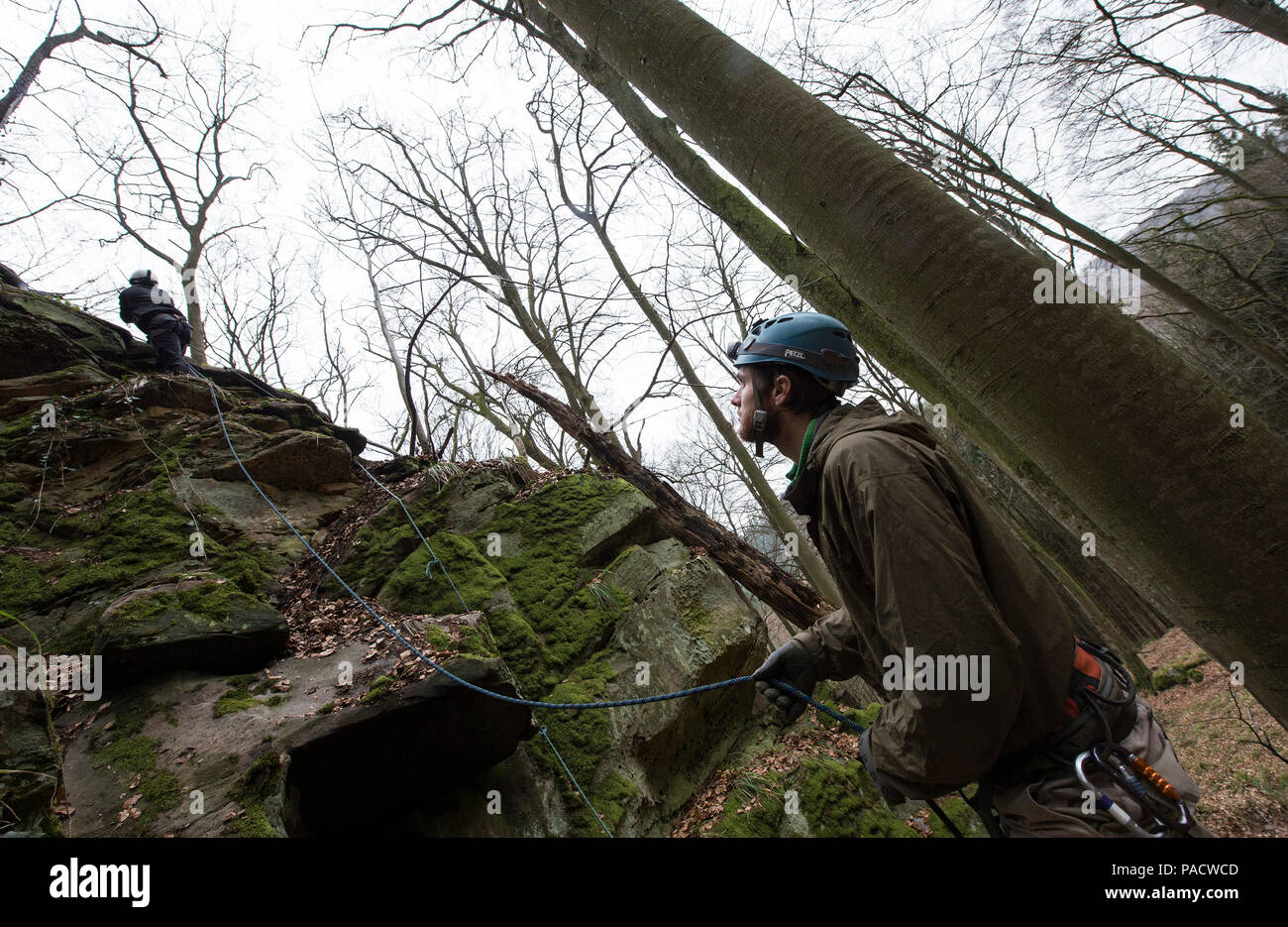 Sean Podrecca, Abenteuer Programme Director und Kletterführer mit US-Militär Outdoor Recreation, verwaltet den Durchhang einer kletterseil während eine abstoßende Reise in das nationale Netz von Wanderwegen, die im Großherzogtum Luxemburg am 20. März 2016. Mitglieder der klettern Partei waren erforderlich, um den entsprechenden klettern Helm und Gurt zu tragen, um zu verhindern, dass mögliche Verletzungen wie traumatische Hirnverletzungen (TBI). TBI Bewusstsein ist im Laufe des Monats März in den Hoffnungen der Verbreitung des Traumas und potenziell Vermeidung künftiger Fälle beobachtet. (DoD Nachrichten Foto durch TSgt Stockfoto