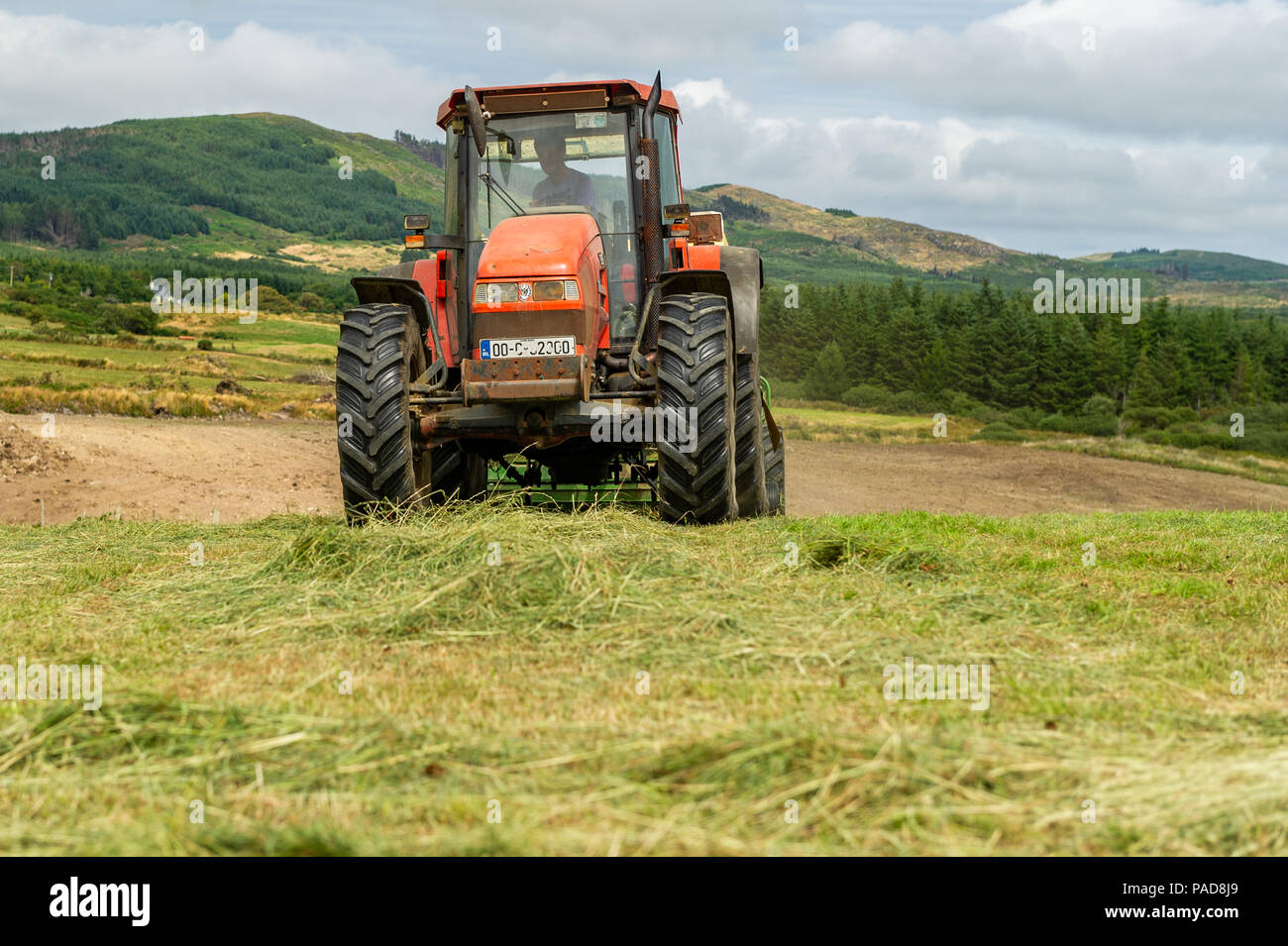 Ballydehob, West Cork, Irland. 22. Juli, 2018. Hollum basierte Landwirt Michael Pat Ward sammelt Gras für die Herstellung von silage Querhölzer auf einem anderen sehr heißen Tag in Irland. Das Wetter ist wechselhaft im Laufe der nächsten Tage mit Regen Prognose für die ganze Woche. Die Temperaturen an den hohen Teens fallen/Low 20 Celsius. Credit: Andy Gibson/Alamy Leben Nachrichten. Stockfoto
